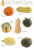 Cucurbita moschata